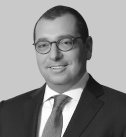 Farid Chedid, Président Directeur général